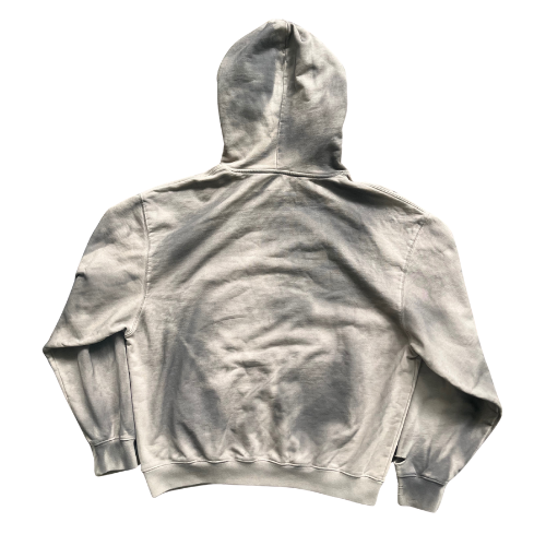 SOCIAL DETERMINANTS HOODIE SAND