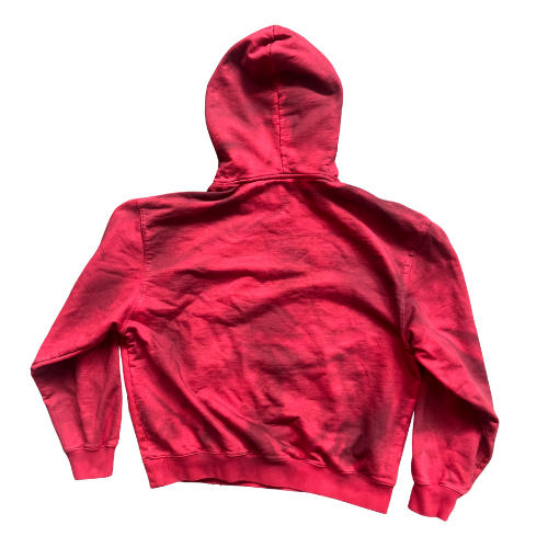 SOCIAL DETERMINANTS HOODIE CRIMSON RED
