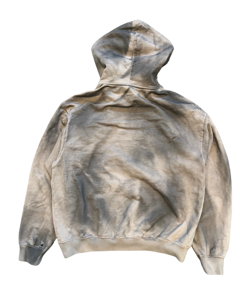 SOCIAL DETERMINANTS HOODIE SAND